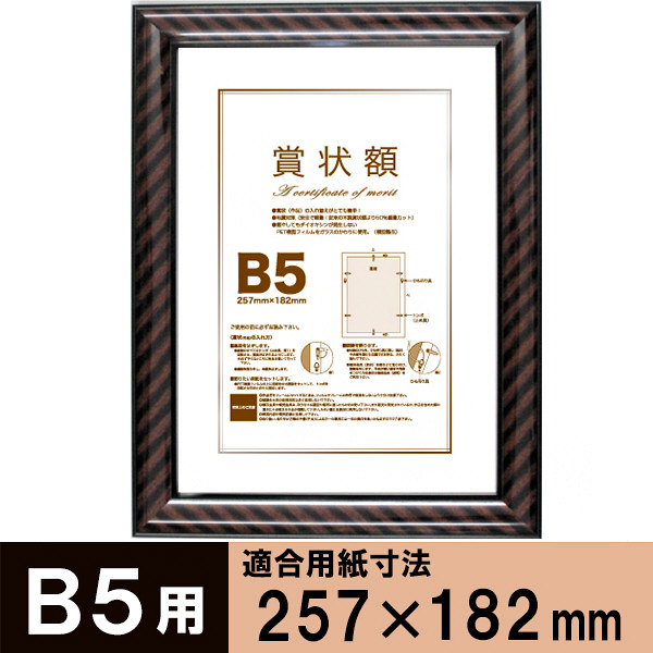 アートプリントジャパン B5額金ラック 1セット（5枚）