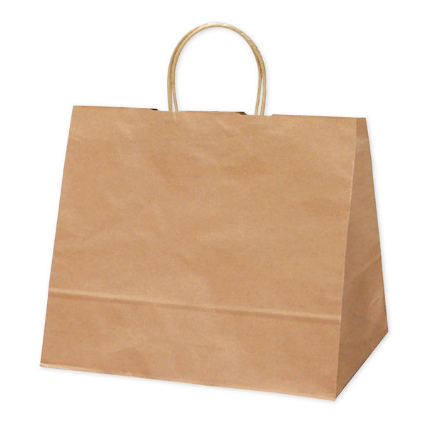 ササガワ 手提げバッグ 幅広小 未晒 50-5001 1袋（50枚入）（取寄品）