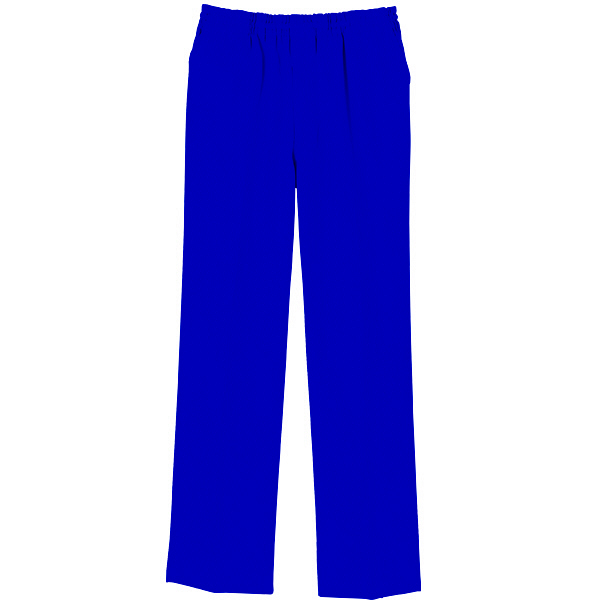 自重堂 男女兼用パンツ ロイヤルブルー L WH11486（取寄品）