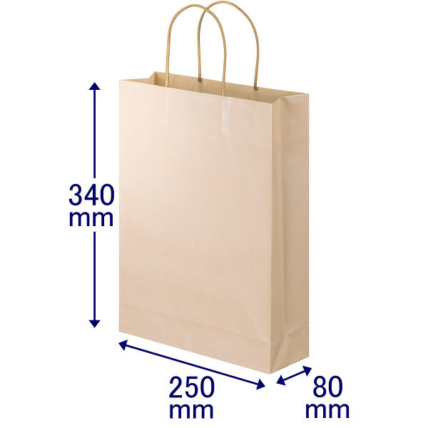 手提げ紙袋　丸紐　ブライトーンパールタイプ　パールアプリコット　L　1袋（10枚入）　スーパーバッグ オリジナル