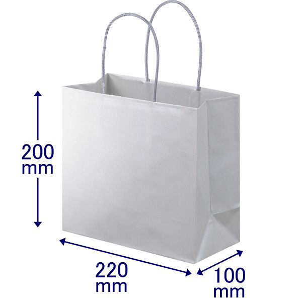 手提げ紙袋　丸紐　ブライトーンパールタイプ　パールグレー　M　1袋（10枚入）　スーパーバッグ オリジナル