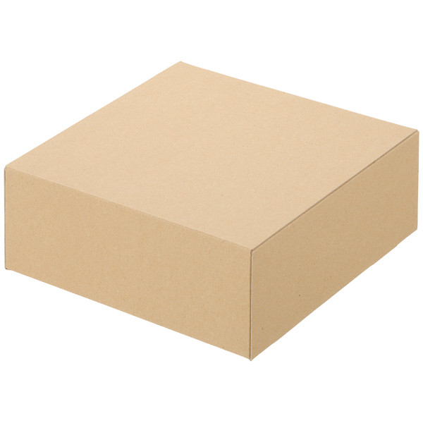 クラフトボックス　G-6　外寸：214×203×82　1袋（10枚入）