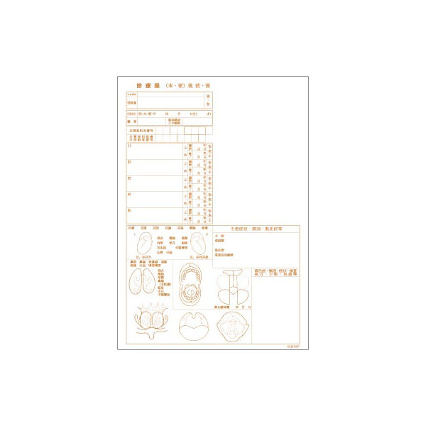 取】診療録（B5）医科用　健保カルテ（耳鼻科）　CCB997　1セット（1000枚:100枚入×10冊）（直送品）