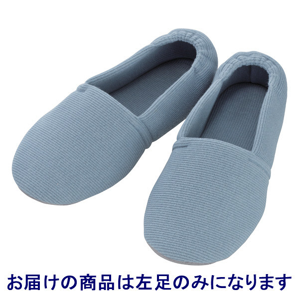 あゆみ 介護靴 2004エスパド ブルーS（20.5-21.5cm）左足 室内用（取寄品）
