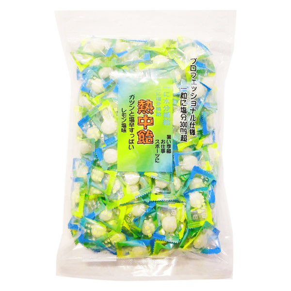 熱中飴 1袋（1kg：約200粒入） 井関食品 塩飴 塩分補給