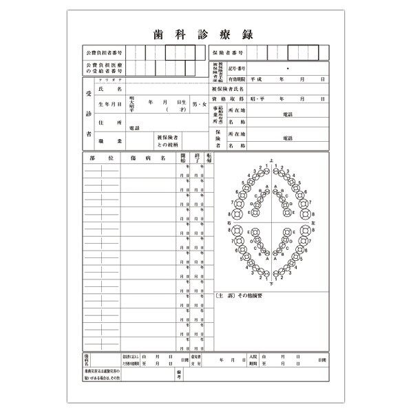 小林クリエイト 歯科診療録1号紙（A4サイズ） 黒色 1-A4K 1袋（100枚入）