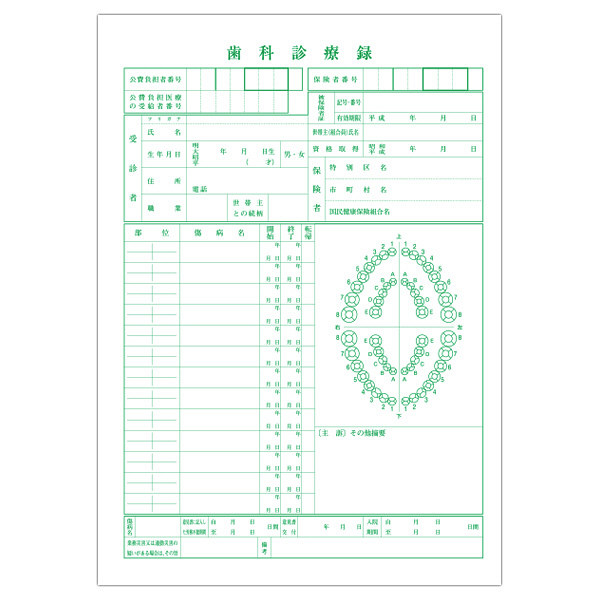 小林クリエイト 歯科診療録1号紙（B5サイズ） 緑色 1-B5M 1袋（100枚入）