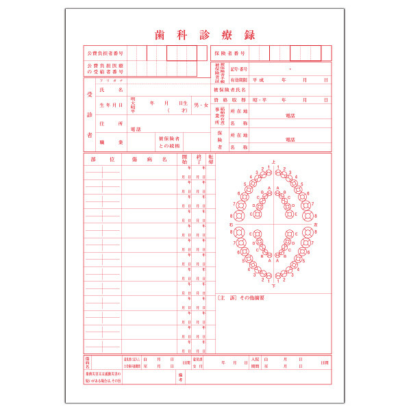小林クリエイト 歯科診療録1号紙（B5サイズ） 赤色 1-B5AK 1袋（100枚入）