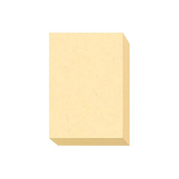 大王製紙　ダイオーマルチカラープリンタ用紙　86406　B5　1箱（2500枚入）　レモン色