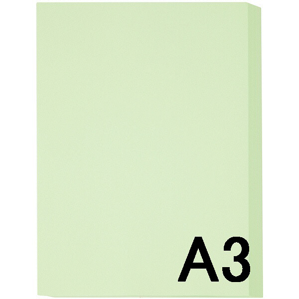 アスクル　カラーペーパー　A3　ライトグリーン　1箱（500枚×5冊入）  オリジナル