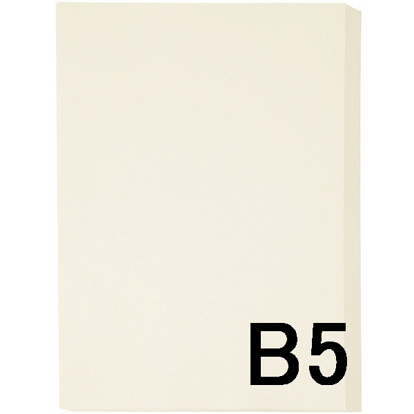 アスクル　カラーペーパー　B5　アイボリー　1箱（500枚×10冊入）  オリジナル
