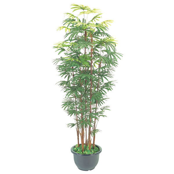 タカショー 人工観葉植物 シュロチク 5本立 鉢付1.5m GD-127S 1個（直送品）