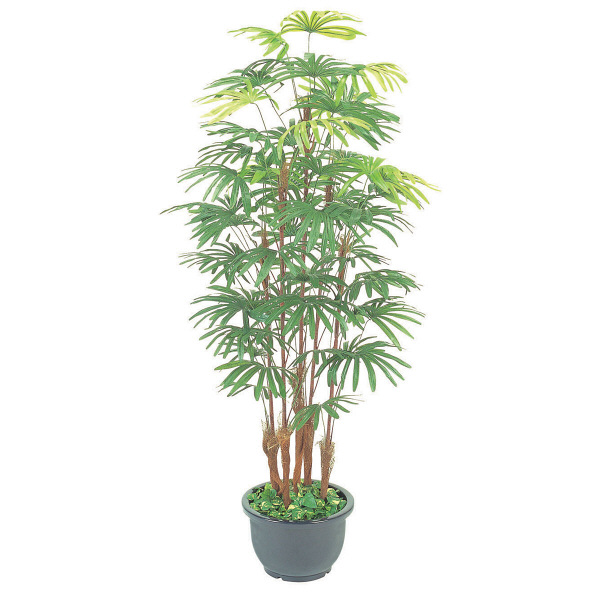 タカショー 人工観葉植物 シュロチク 7本立 鉢付1.8m GD-128L 1個（直送品）