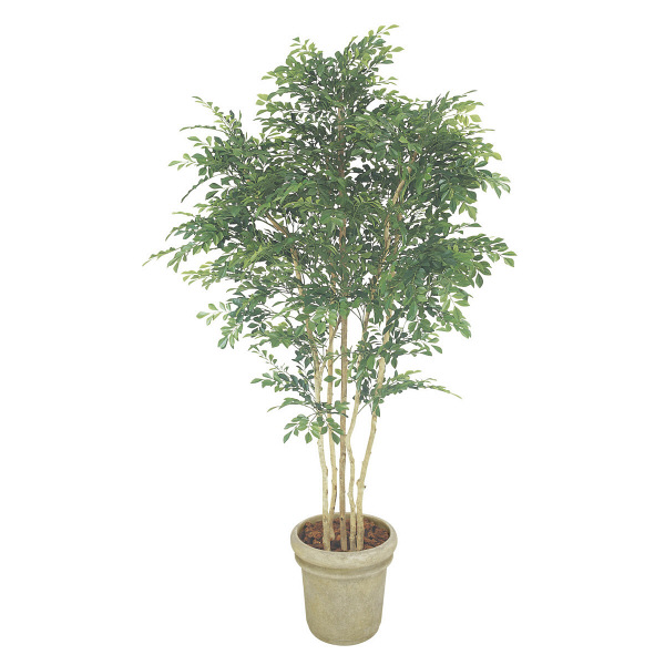 タカショー 人工観葉植物 トネリコ5本立1.8m GD-150 1個（直送品）