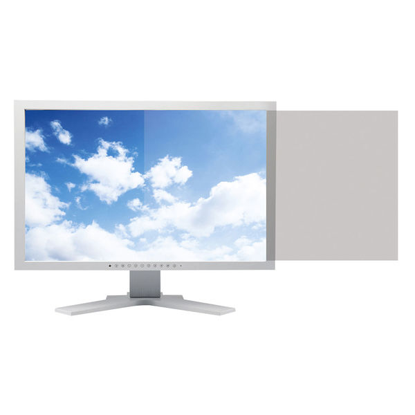 サンワサプライ 液晶パソコンフィルター（24.0型ワイド（16:9）） CRT-240WT2 1個（直送品）