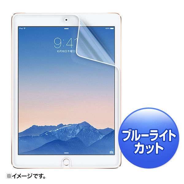 サンワサプライ iPad Air 2用ブルーライトカット液晶保護指紋防止光沢フィルム LCD-IPAD6BC 1枚（直送品）