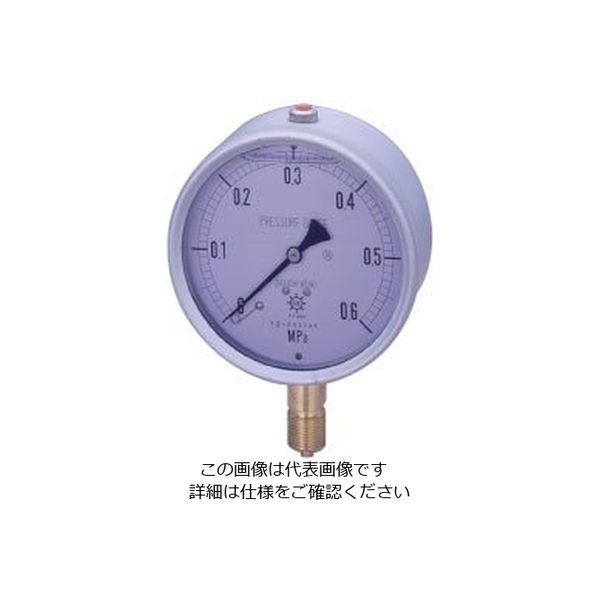 第一計器製作所 GRKグリセリン入連成計 G-AUR3/8-100:0.1/-0.1MPA 1個（直送品）