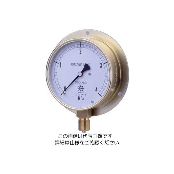 第一計器製作所 HNT汎用圧力計（蒸気用・M BMT3/8-100:0.06MPA 1個（直送品）