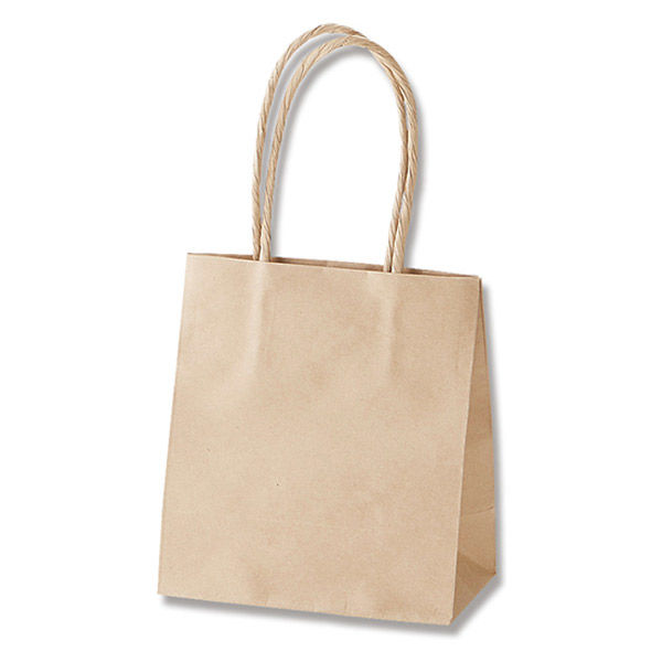 【ケース販売】HEIKO 紙袋 スムースバッグ 15-08 未晒無地 003138010 1ケース(25枚×12袋 合計300枚)（直送品）
