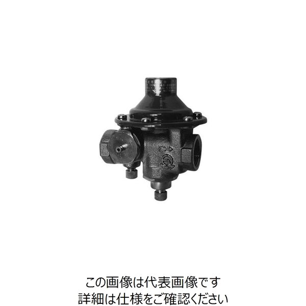 ベン RD25SRN-F水道用減圧弁 RD25SRN-F-20A 1個（直送品）