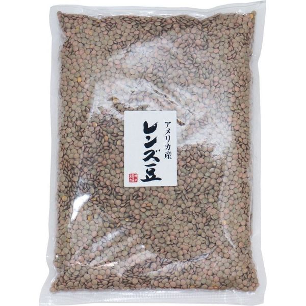 アサヒ食品工業　レンズ豆 皮つき 1Kg アメリカ産　20379　1袋（直送品）