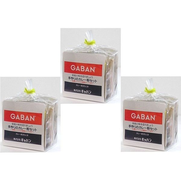 GABAN　手作りカレー粉セット 100ｇ×3袋（GABAN ハウス食品）　21935　1袋（直送品）