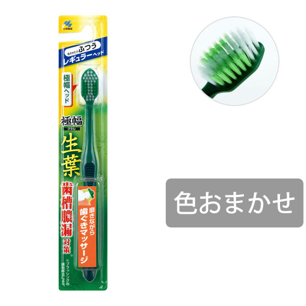 生葉（しょうよう）極幅ブラシ レギュラーヘッド ふつう 小林製薬 歯ブラシ 歯周病 歯槽膿漏