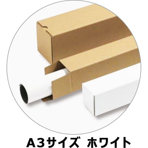 マルアイ ポスターケース60 A3 60角 100枚入 ホワイト CA-22A3 1箱（直送品）