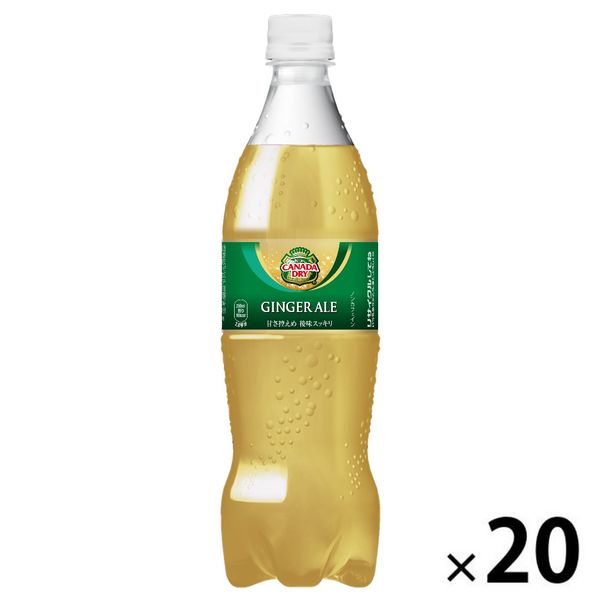 【炭酸飲料】　カナダドライ ジンジャーエール 700ml 1箱（20本入）