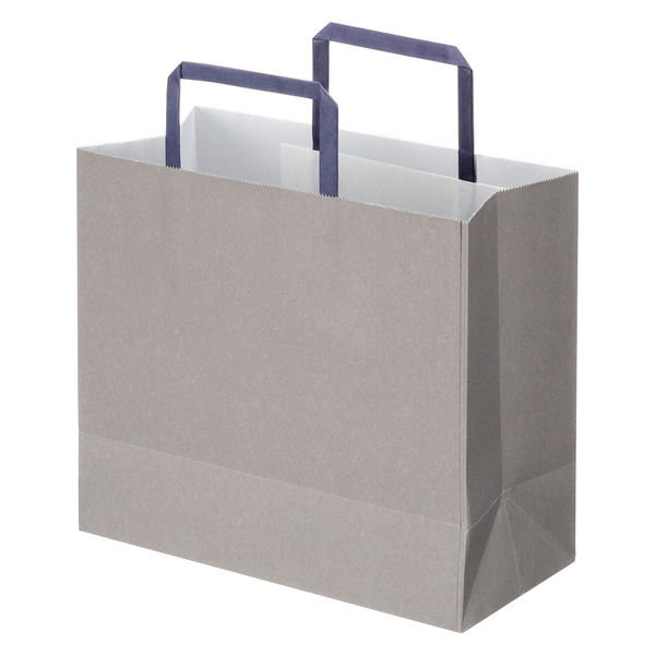 アスクルカタログリサイクル紙袋「Come bag/カムバッグ」平紐タイプ 260×230×120mm 1袋（50枚入） オリジナル