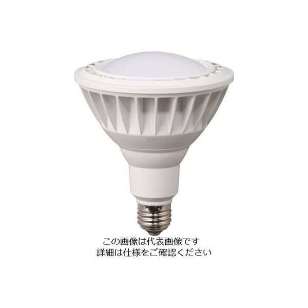 畑屋製作所 ハタヤ LED作業灯 20W交換球電球色広角タイプ LDR20L-H110 1個 126-4997（直送品）