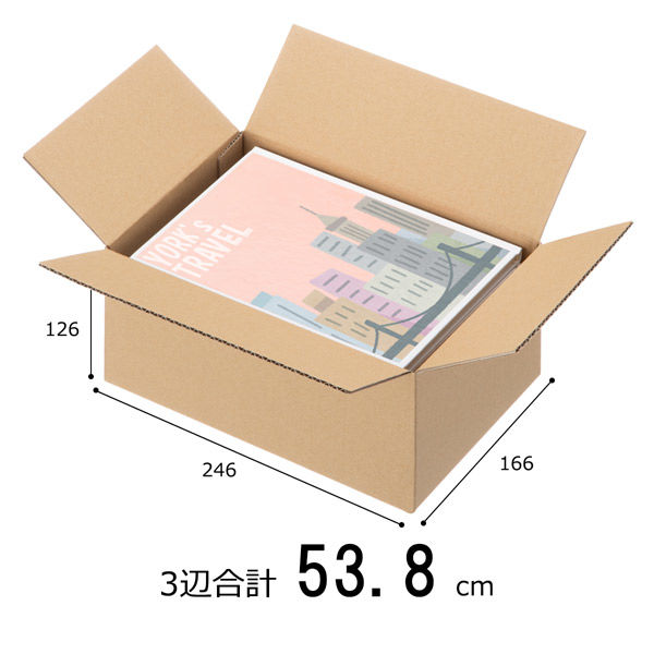 【底面A5】【60サイズ】軽梱包向けダンボール（軽量材質ダンボール） 外寸：幅246×奥行166×高さ126mm 1セット（60枚：20枚入×3梱包） 森紙業