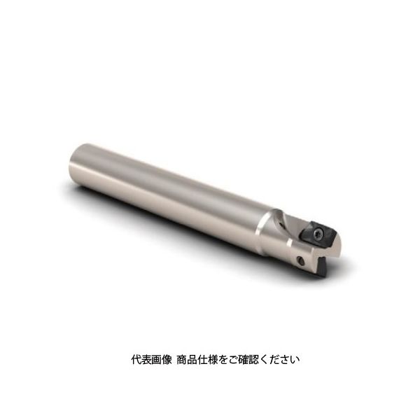 Seco Tools フライス ターボカッタ R217.69-2020.3-12-2AN 1個（直送品）