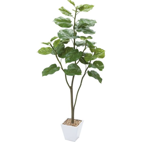 【アウトレット】人工観葉植物　ウンベラータ　120cm　GLA-1437　横浜ディスプレイミュージアム【終売品】