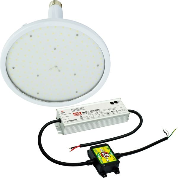 日動工業 LED交換球 L100V2-E39-HW-50K（直送品）