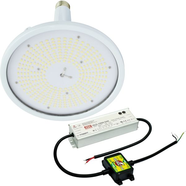 日動工業 LED交換球 L100V2-E39-HW-50K-N（直送品）