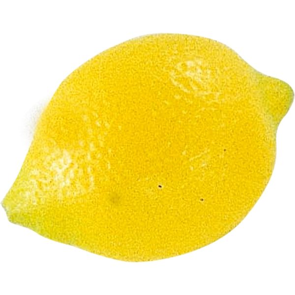 KMA　【食品サンプル】模型 レモン 5個入　049-4236536-5　1セット（5個入）（直送品）