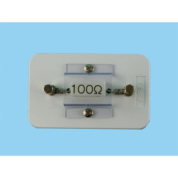 ナリカ 実験用セメント抵抗(100Ω・磁石付き) B10-6103-04 1個（直送品）