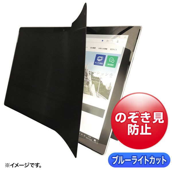 サンワサプライ 2WAY覗き見防止フィルム（iPad10.2インチ（全面）対応） LCD-ZE2LN102IPAD 1枚（直送品）