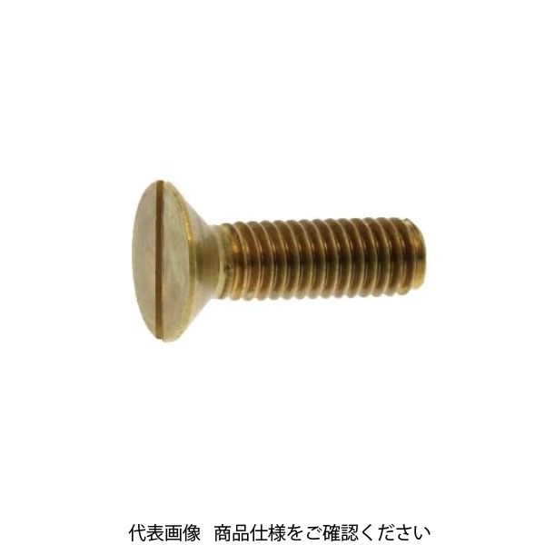 ファスニング J 小ねじ SUS316L（ー）サラボルト 10 X 45 001201010100045000 1箱（100個）（直送品）