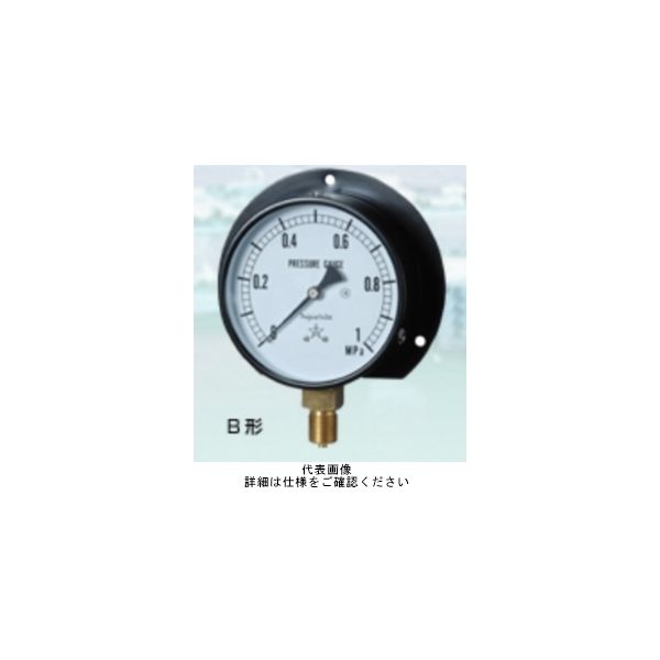 右下精器製造 一般圧力計 蒸気用・M BMT3/8-100X1MPA 校正書類付 BMT3/8-100X1MPA-K 1個（直送品）
