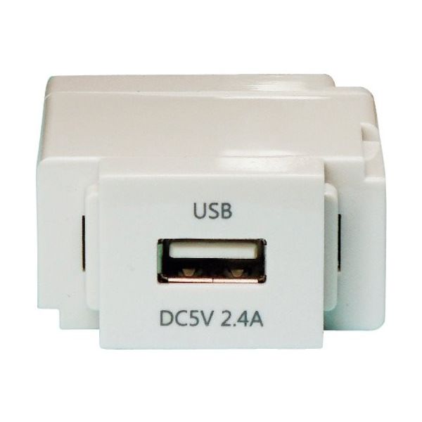 ノア 組替式USBコンセント(ミルキーホワイト) N-USB0241W 1個 337-4618（直送品）