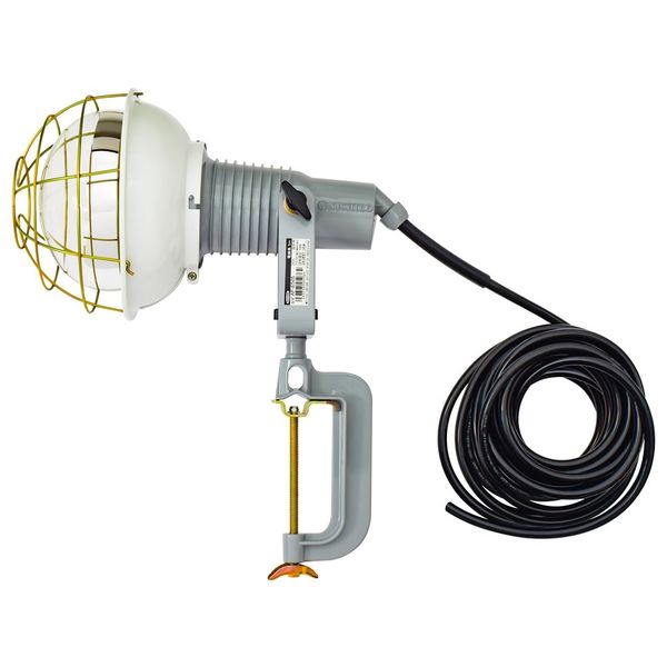 日動工業 安全投光器 白熱球(レフ球) AF-E510_200V 1セット(2個)（直送品）