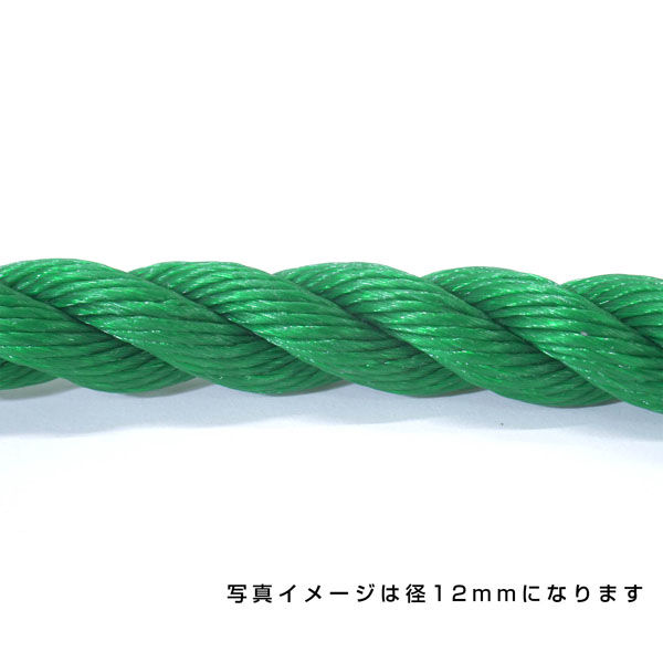 伊藤製鋼 ポリエチレンロープ　緑　１２ｍｍ　１００ｍ巻 6300040529 1巻（直送品）