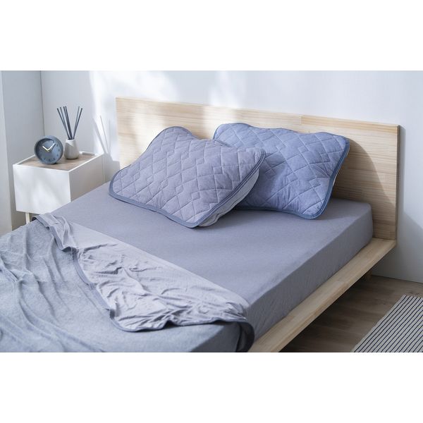 アイリスオーヤマ 冷感ピローパッド　枕カバー ブルー PWP-NPES3-4565 1枚（直送品）