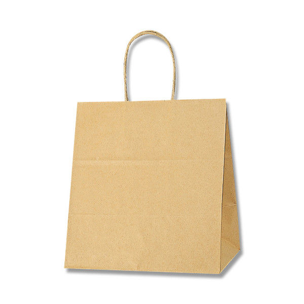 【ケース販売】HEIKO 紙袋 25チャームバッグ 26-18 未晒無地 003267102 1ケース(50枚×4袋 計200枚)（直送品）