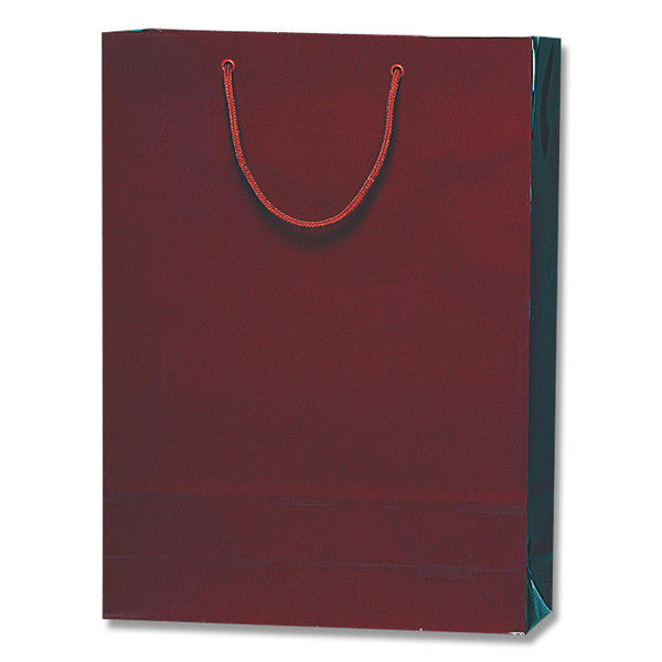 【ケース販売】HEIKO 紙袋 ブライトバッグ G2 エンジ 006138002 1ケース(10枚入×15袋 合計150枚)（直送品）