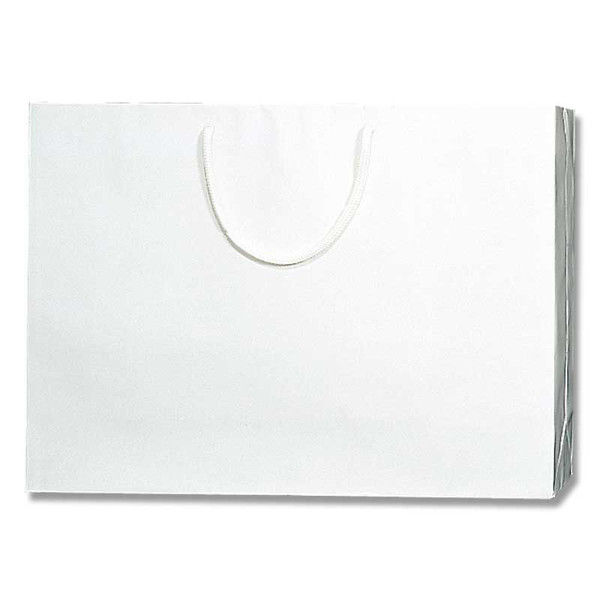 【ケース販売】シモジマ HEIKO 紙袋 ブライトバッグ Y2 白 006138123 1ケース(10枚入×15袋 合計150枚)（直送品）