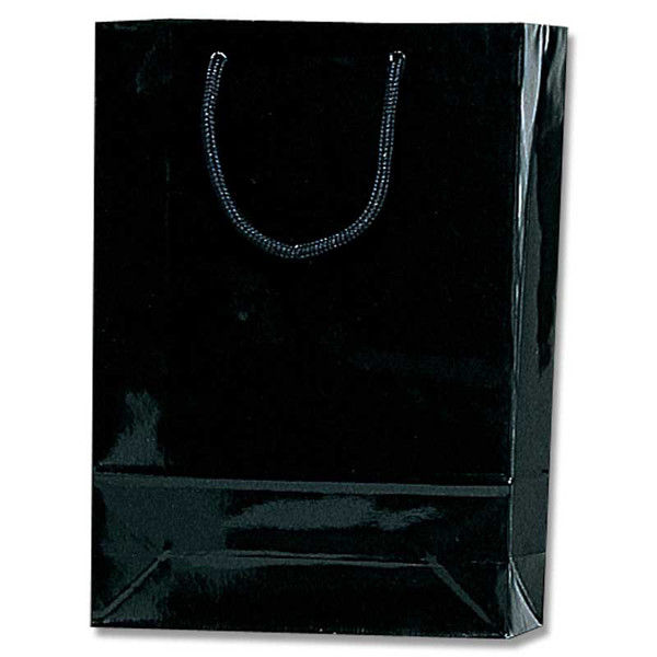 【ケース販売】HEIKO 紙袋 ブライトバッグ SWT 黒 006138200 1ケース(10枚入×30袋 合計300枚)（直送品）