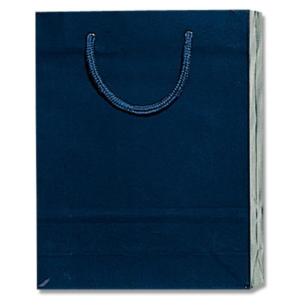 【ケース販売】HEIKO 紙袋 ブライトバッグ MM 紫紺 006138315 1ケース(10枚入×30袋 合計300枚)（直送品）